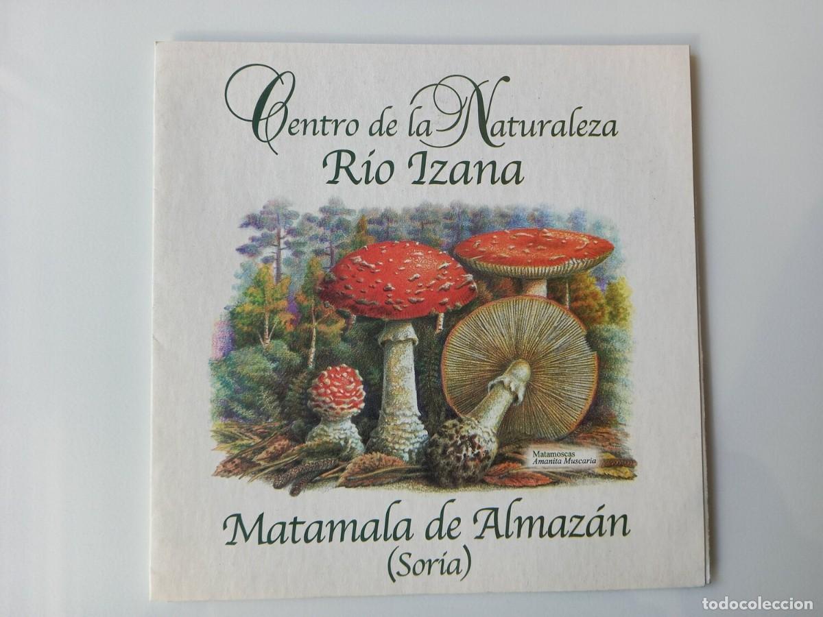 Folletos de turismo: MATAMALA DE ALMAZ&Aacute;N (Soria)