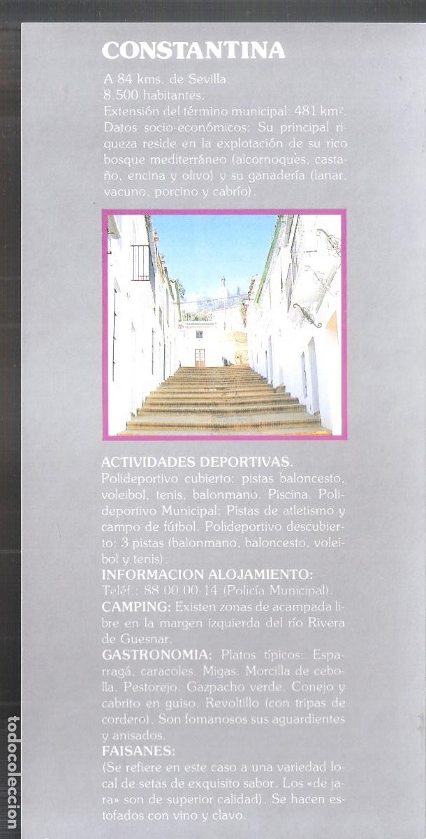 Brochures de tourisme: Constantina.Sevilla. Patronato Provincial de Turismo de Sevilla.Hoja/Ficha. 21X11 cm.