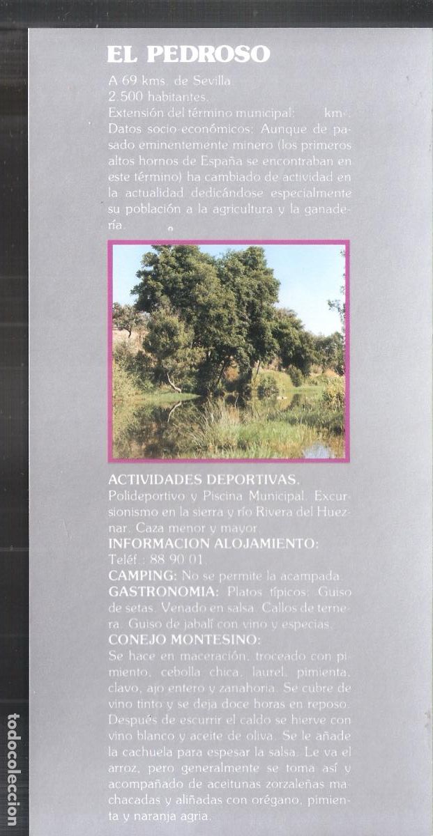 Brochures de tourisme: El Pedroso. Sevilla. Patronato Provincial de Turismo de Sevilla. Hoja/Ficha. 21X11 cm.