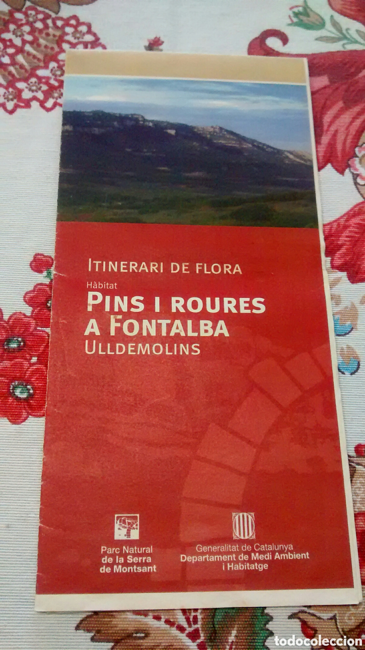 Brochures de tourisme: PINS I ROURES A FONTALBA. ULLDEMOLINS