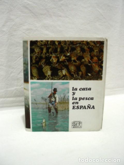 Travel Brochures: La caza y la pesca en Espa&ntilde;a. A&ntilde;os 60. Ed. Roche. Contiene mapa ilustrado desplegable 73 X 60 cm; te