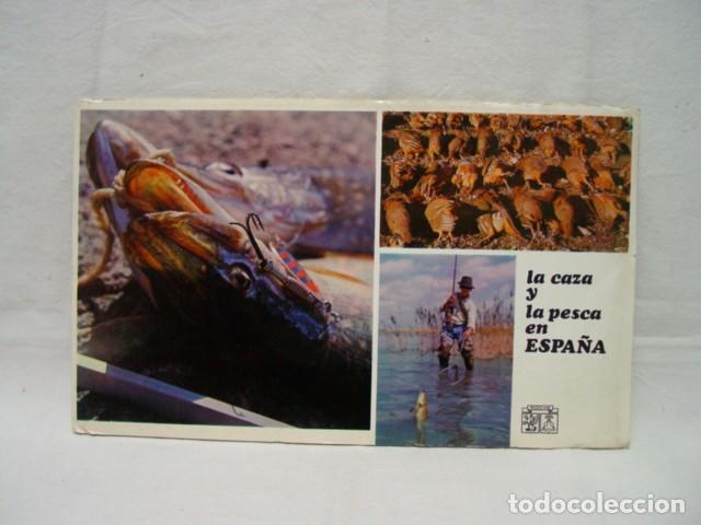Brochures de tourisme: La caza y la pesca en Espa&ntilde;a. A&ntilde;os 60. Ed. Roche. Contiene mapa ilustrado desplegable 73 X 60 cm; te