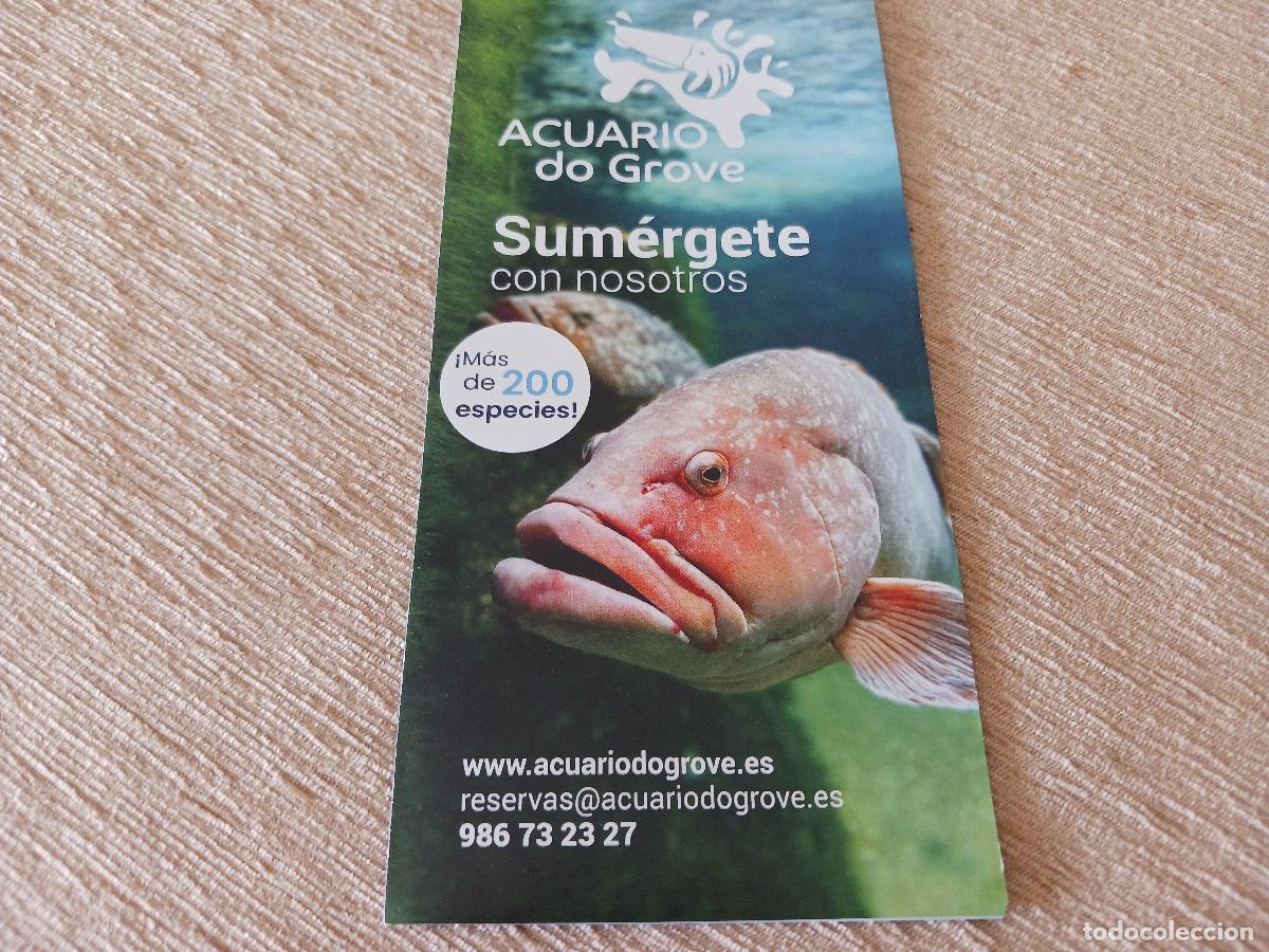 Travel Brochures: triptico informativo acuario do grove