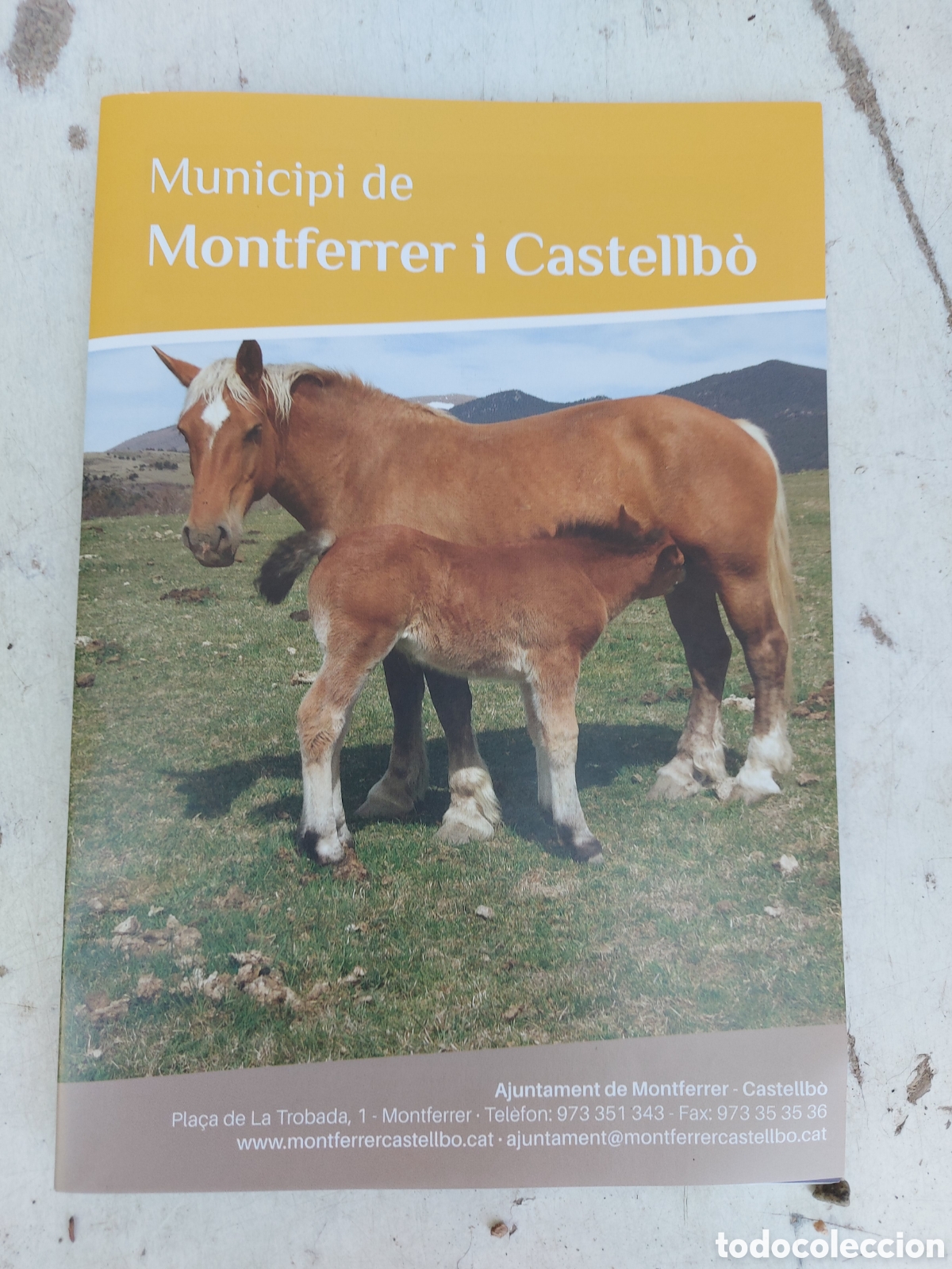 Folletos de turismo: MUNICIPI DE MONTFERRER I CASTELLBO