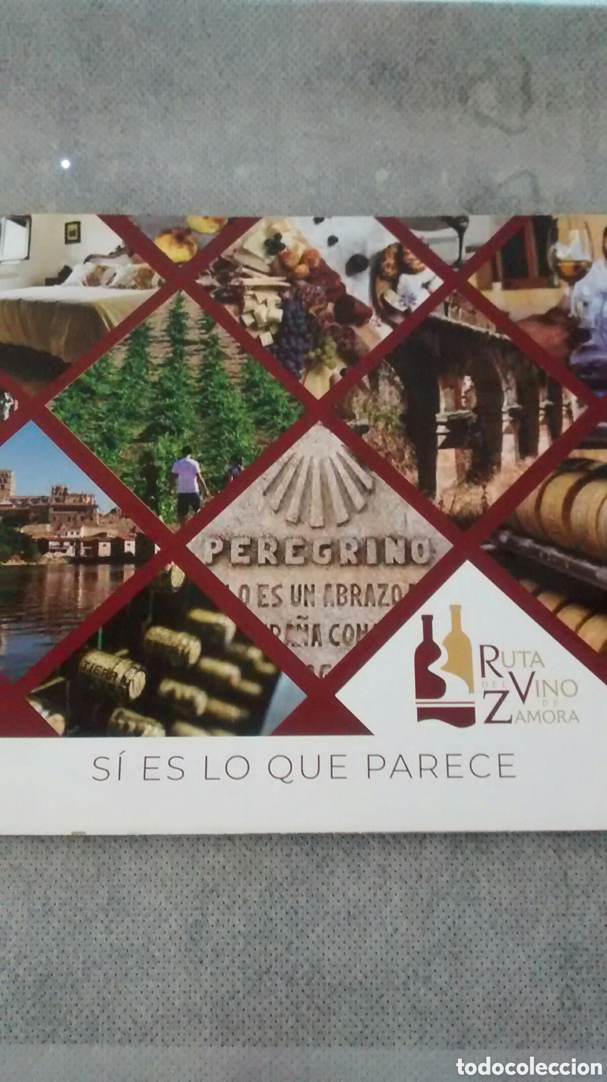 Brochures de tourisme: RUTA DEL VINO DE ZAMORA. MAPA DESPLEGABLE