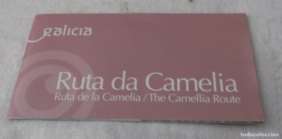 Folletos de turismo: Galicia Ruta da Camelia flor de Galicia
