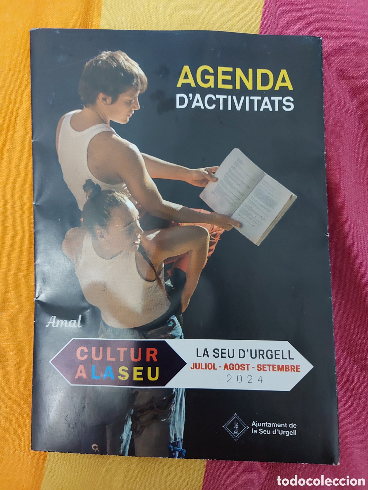 Brochures de tourisme: FESTIVAL DE MUSICA ANTIGA DELS PORINEUS a&ntilde;o 2024