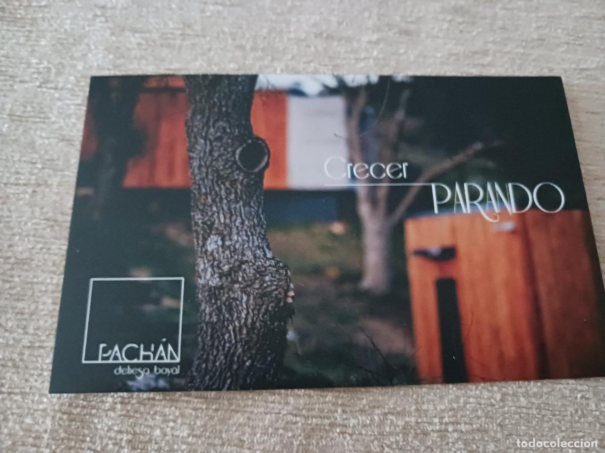 Folhetos de turismo: postal publicitaria, sierra de cuenca, pachan, dehesa boyal