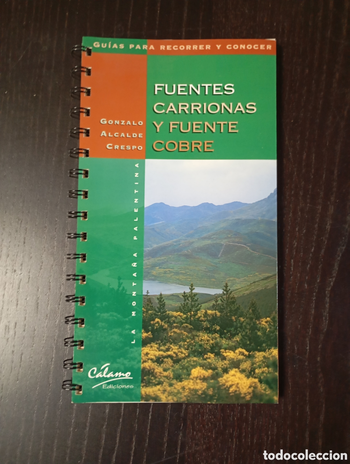Travel Brochures: FUENTES CARRIONAS Y FUENTE COBRE - GONZALO ALCALDE CRESPO