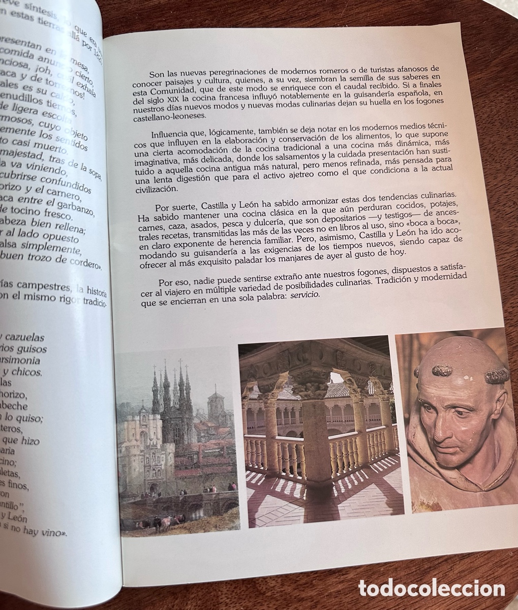 Folletos de turismo: Gastronom&iacute;a de Castilla y Leon - Foto 6