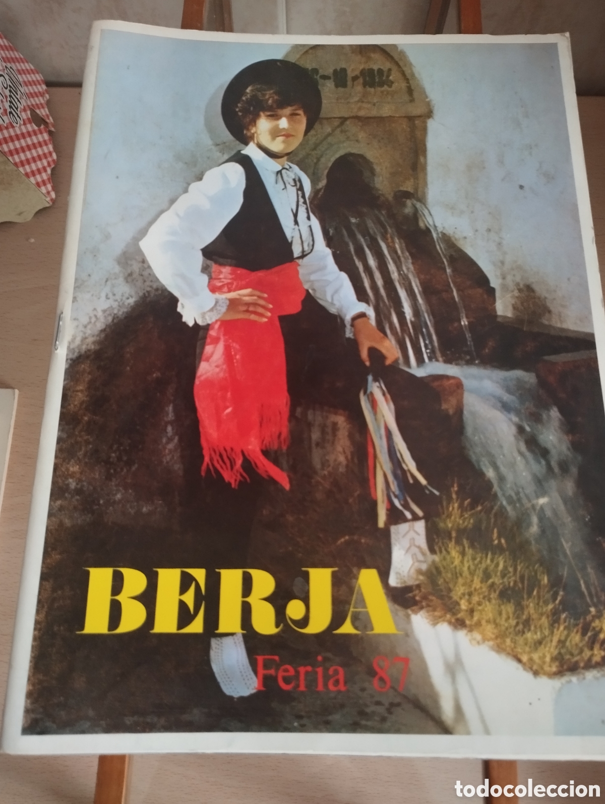 Folletos de turismo: PROGRAMA FERIA DE BERJA -ALMERIA 1987 - Foto 1