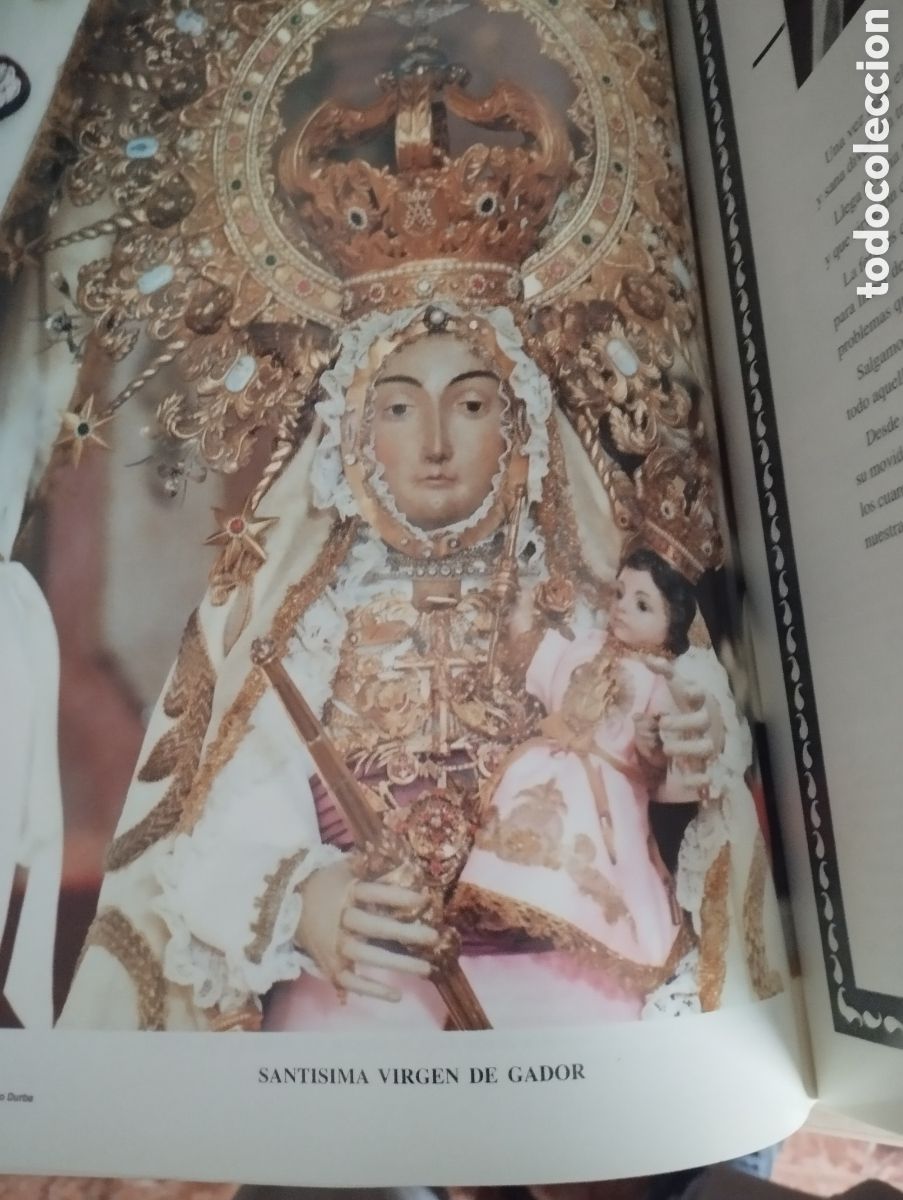 Folletos de turismo: PROGRAMA FERIA DE BERJA -ALMERIA 1996 - Foto 3