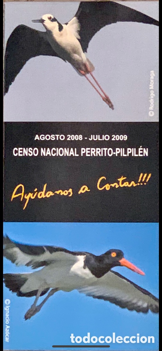 Folletos de turismo: D&iacute;ptico. Censo Nacional Perrito-Pilpilen. AvesChile. A&ntilde;os 90.