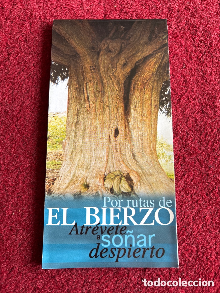 Travel Brochures: Mapa tur&iacute;stico y de carreteras del Bierzo, Le&oacute;n. Por rutas del Bierzo. ASM