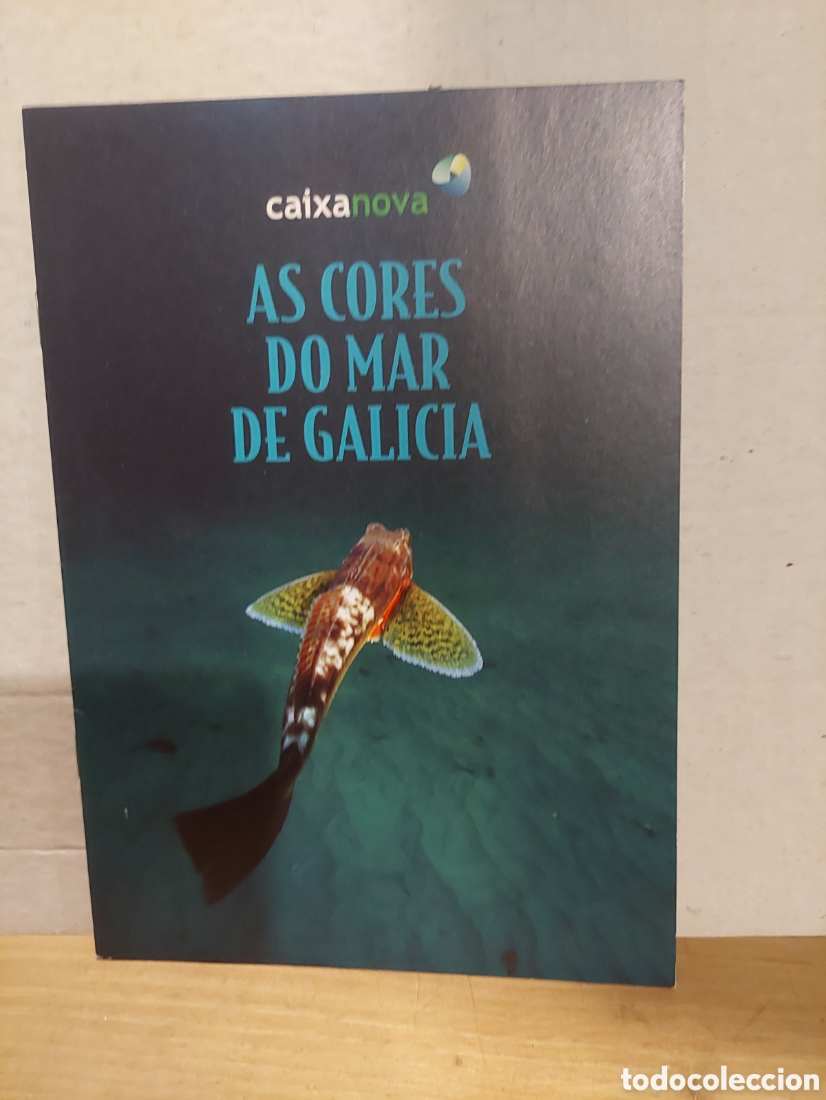 Travel Brochures: CAIXA NOVA AS CIRES DI MAR DE GALICIA DIPTICO