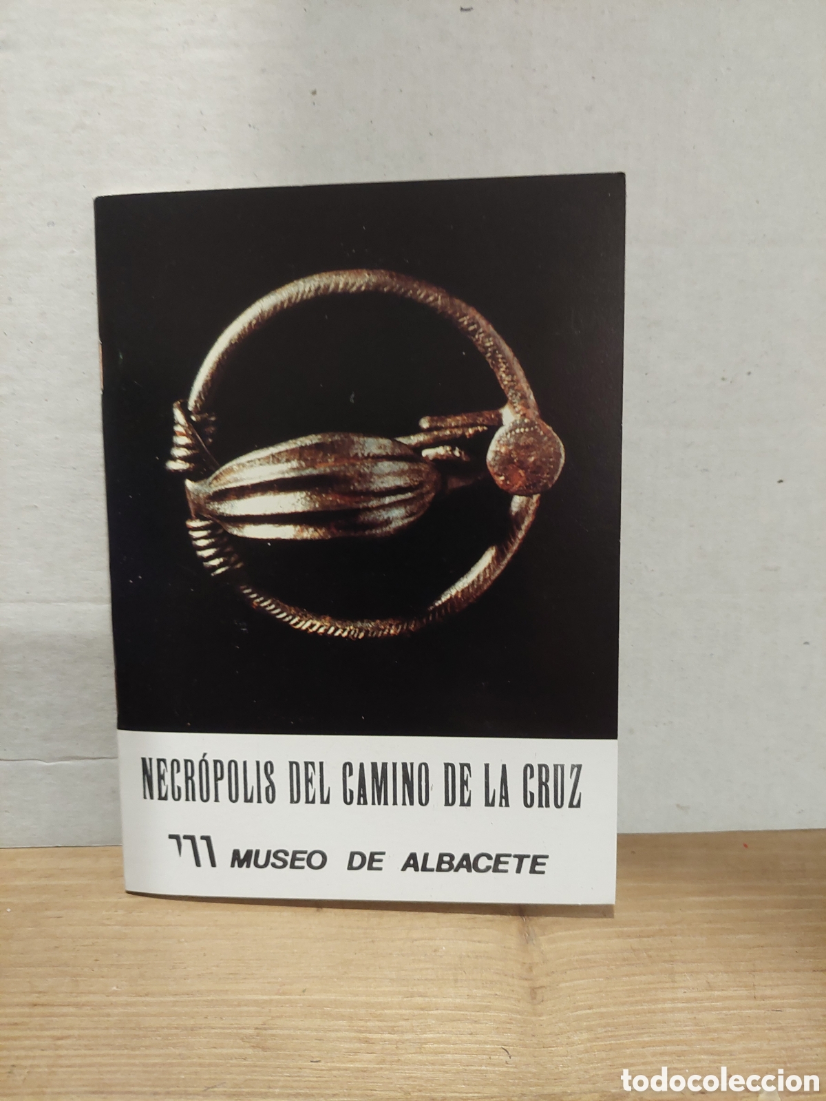 Travel Brochures: Museo de Albacete necropolis del Camino de la Cruz