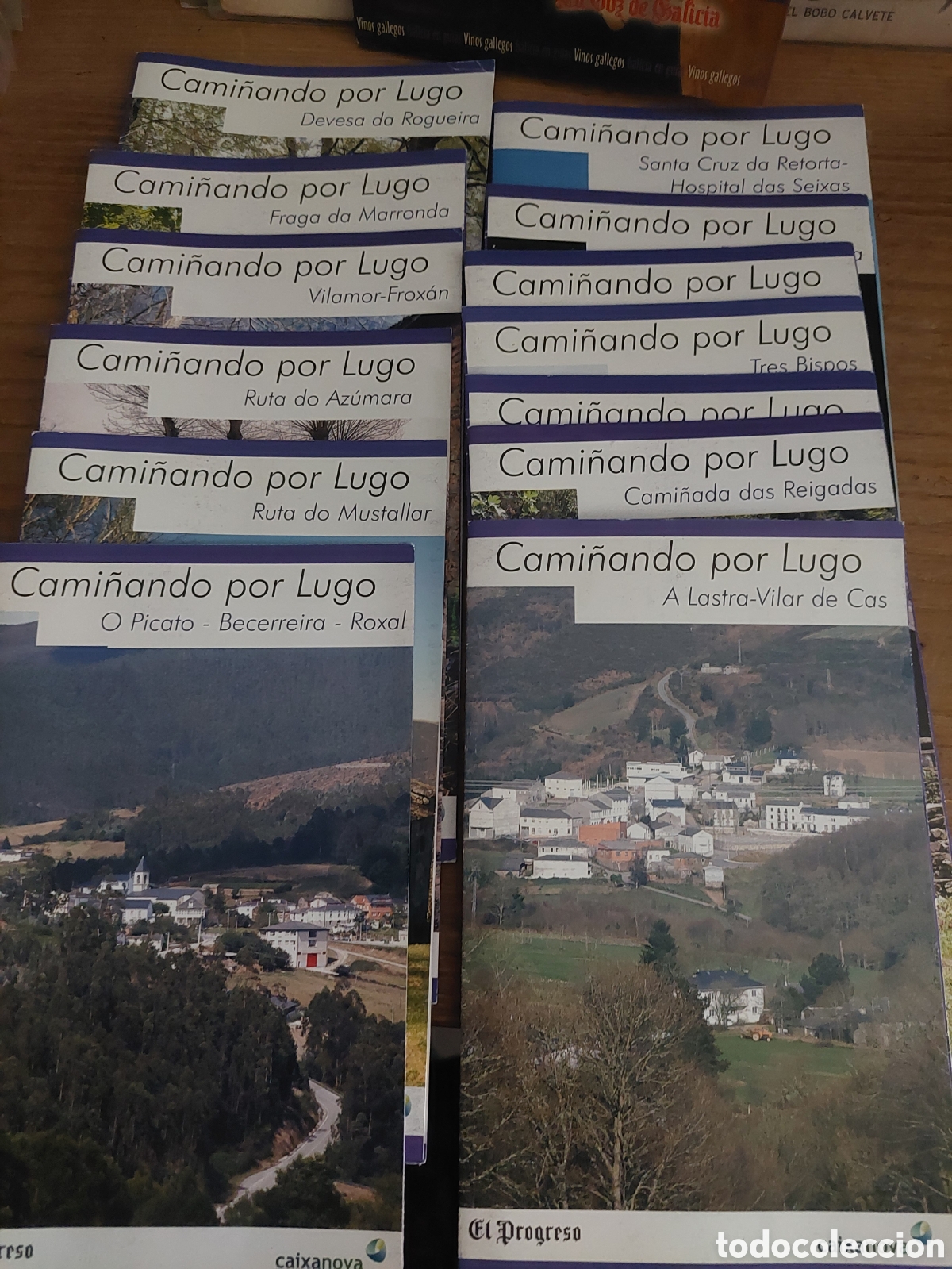 Folhetos de turismo: CAMINANDO POR LUGO PLANOS ENOGRAFIA, HISTORIA ect