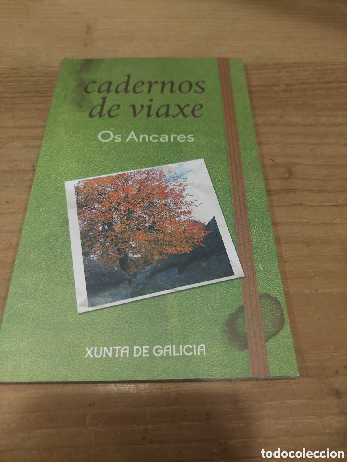 Brochures de tourisme: 64 P&Aacute;GINAS CYADRTNOS DE VIAXE OS ANCARES CERVANTES LUGO