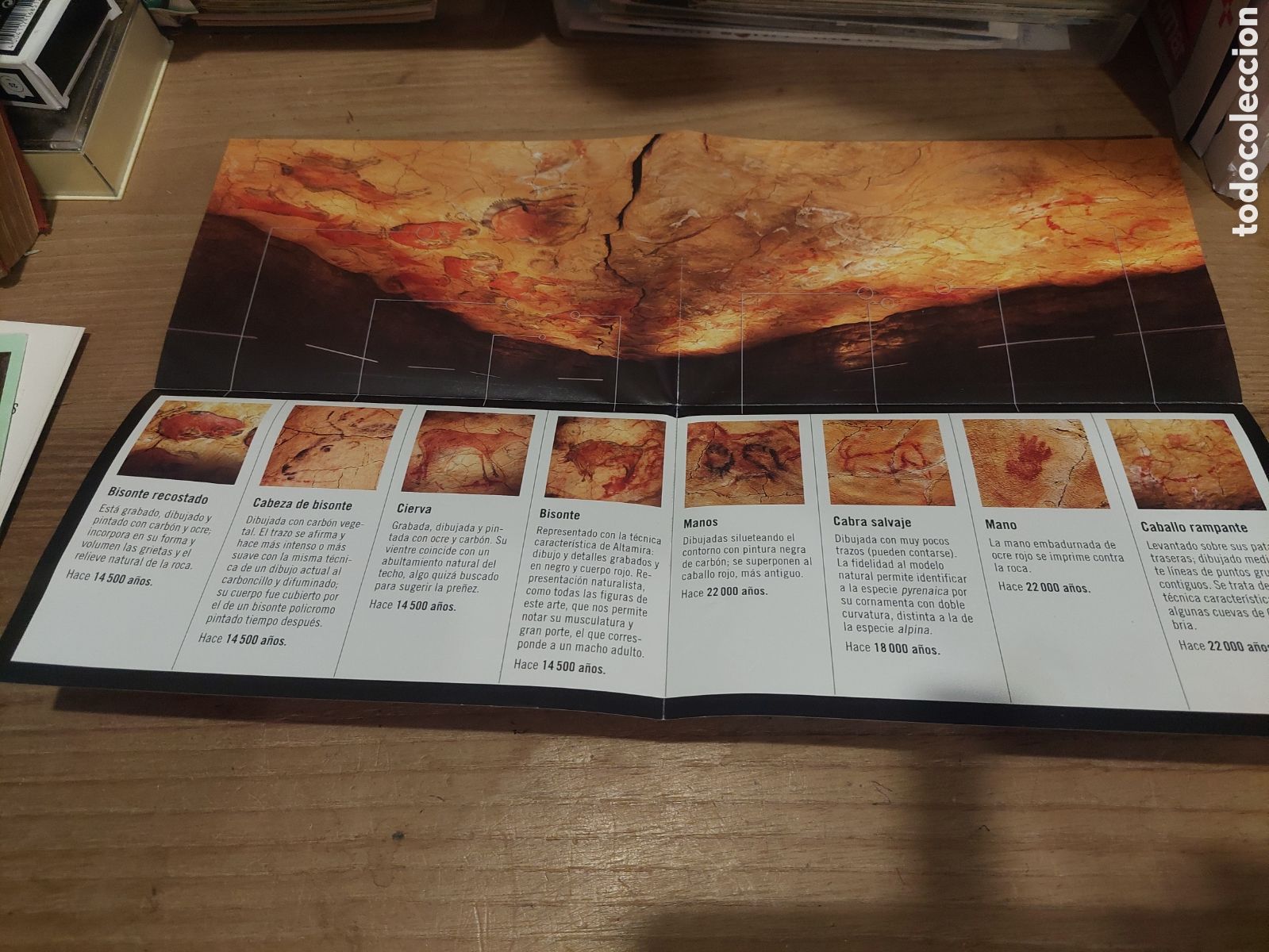 Tourismusbrosch&uuml;ren: DIPTICO musro.de Altamira neocueva