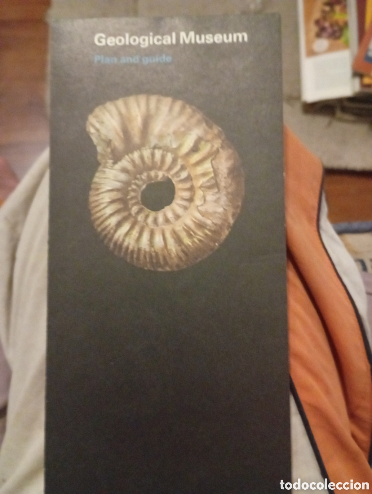 Folletos de turismo: Geological Museum London