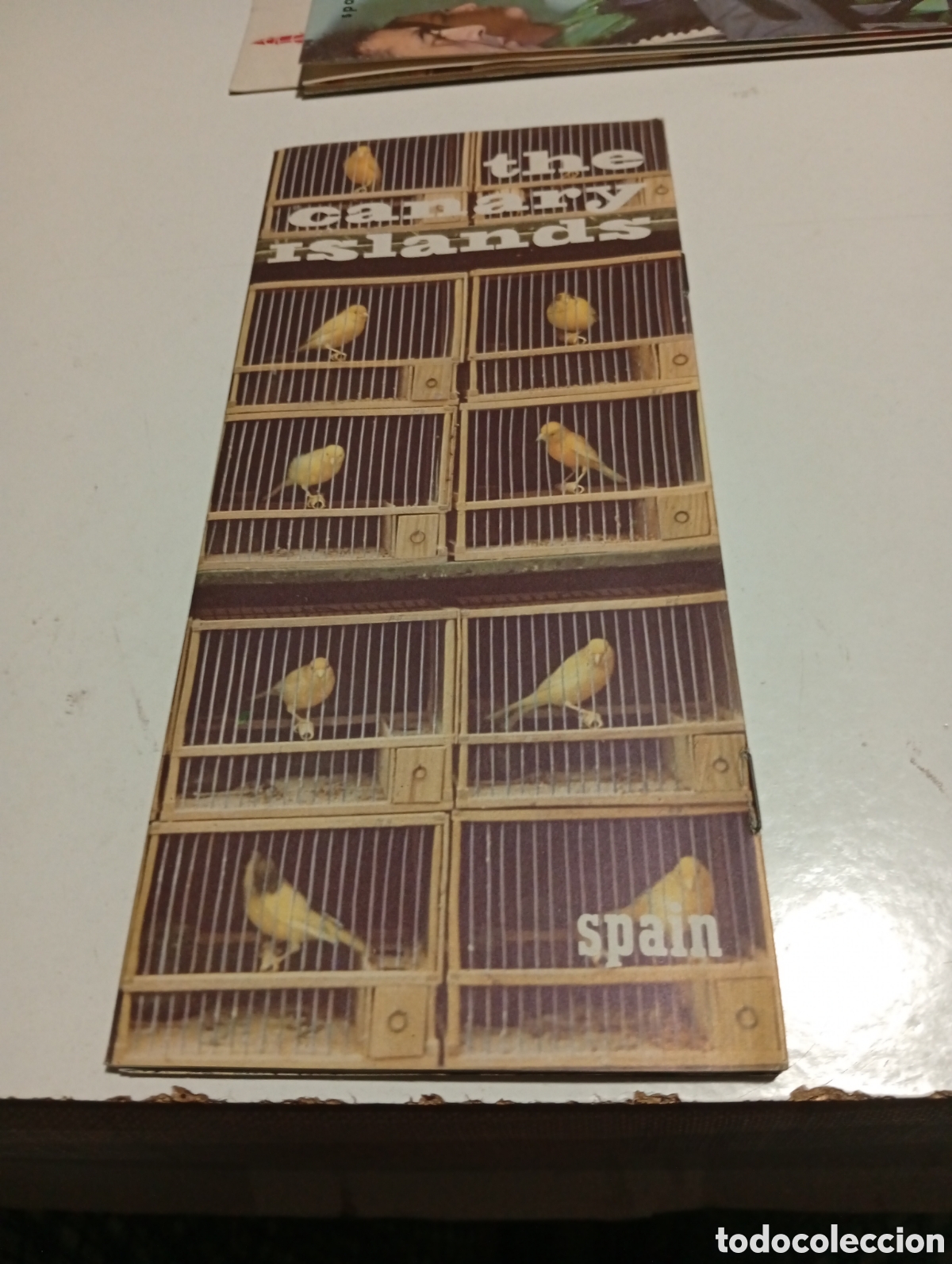 Folletos de turismo: Folleto tur&iacute;stico Islas Canarias en ingles