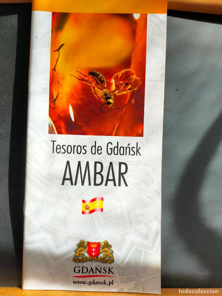 Folletos de turismo: POLONIA. TESOROS DE GD&Aacute;NSK &Aacute;MBAR. ESPA&Ntilde;OL Y FRANC&Eacute;S.