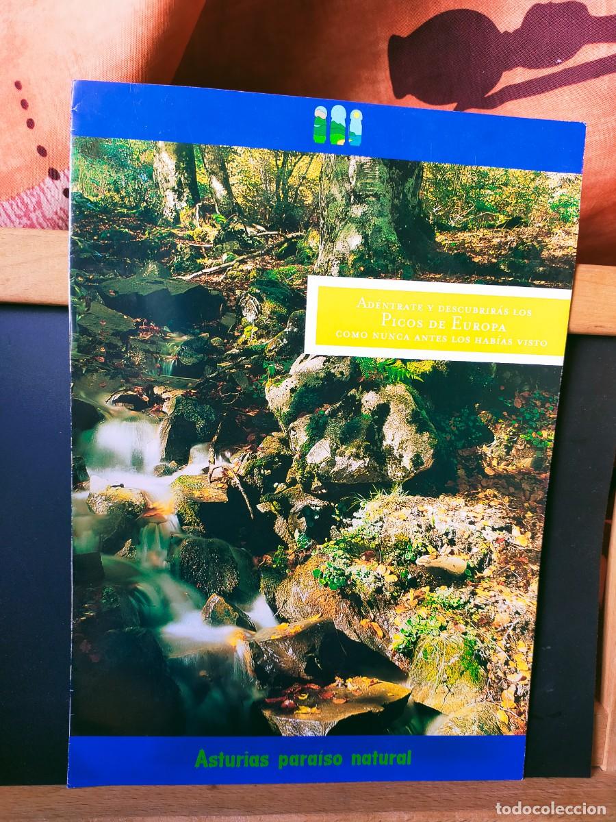 Folletos de turismo: ASTURIAS. PARA&Iacute;SO NATURAL. AD&Eacute;NTRATE Y DESCUBRIR&Aacute;S LOS PICOS DE EUROPA COMO NUNCA ANTES. 2008