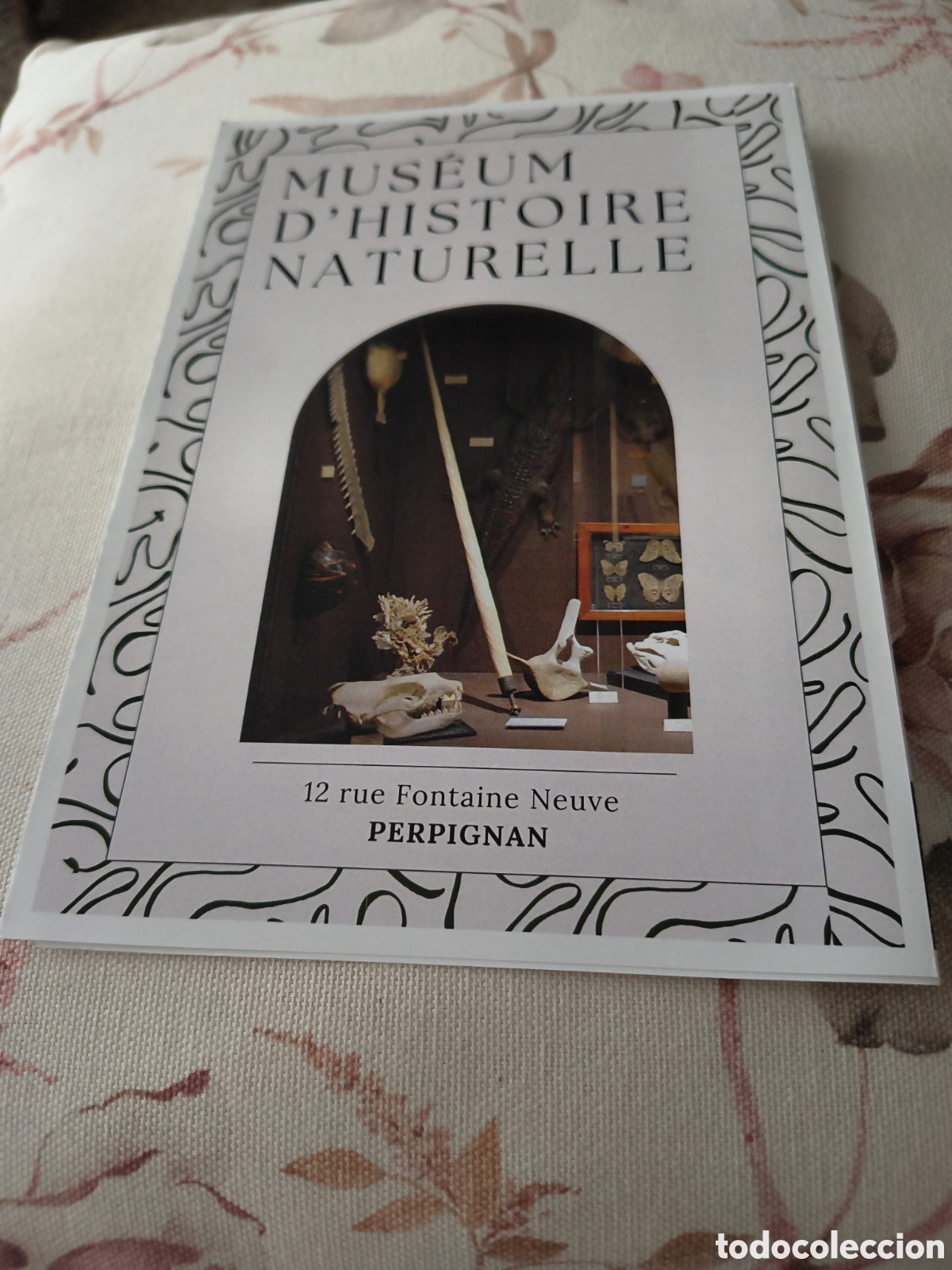 Folletos de turismo: MUSEUM D&acute;HISTOIRE NATURELLE. EN FRANCES. TRIPTICO