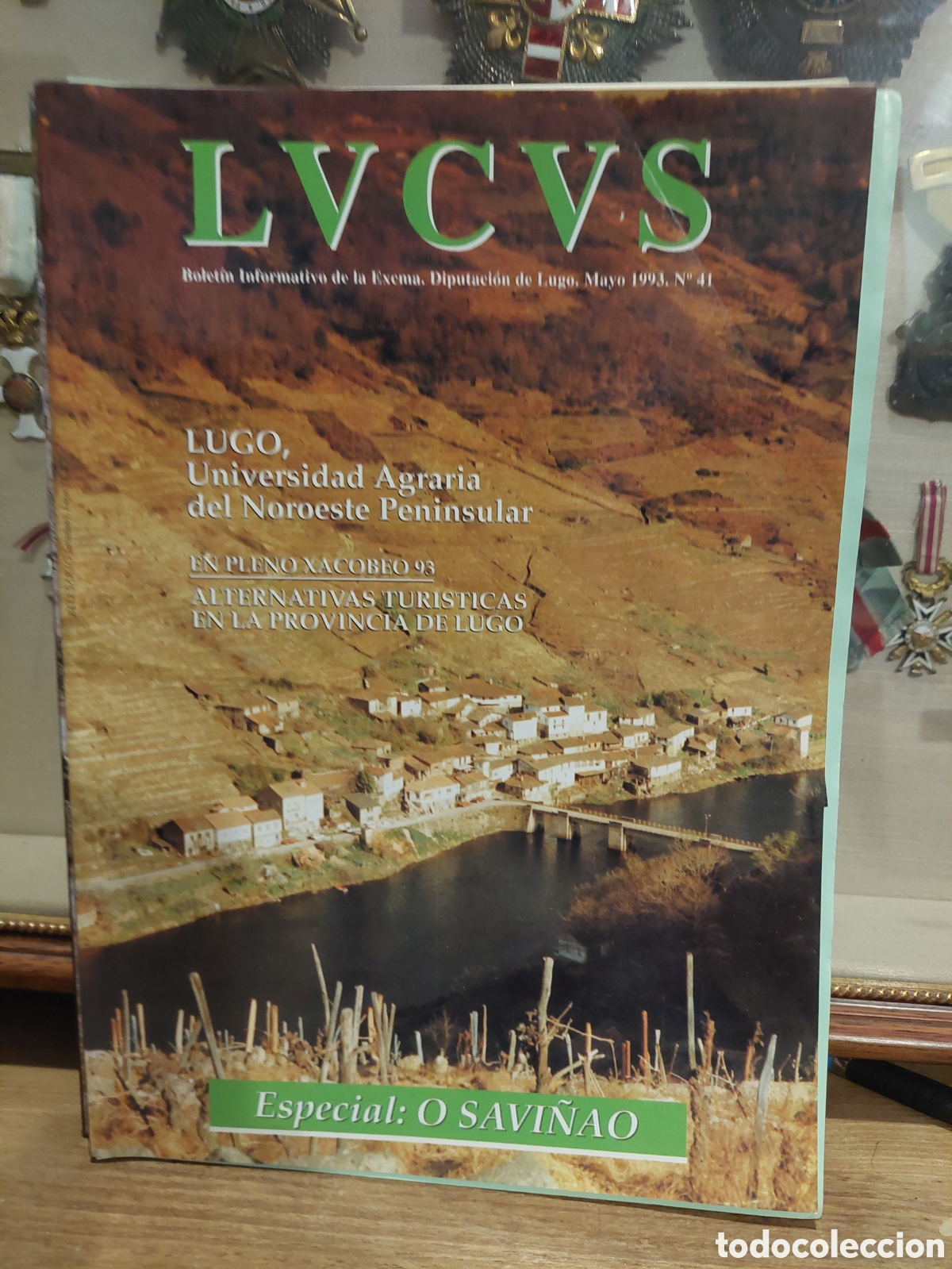 Folletos de turismo: REVISTA LVCVS LUGO BOLETIN DIPUTACI&Oacute;N 1993 41 O SAVI&Ntilde;AO