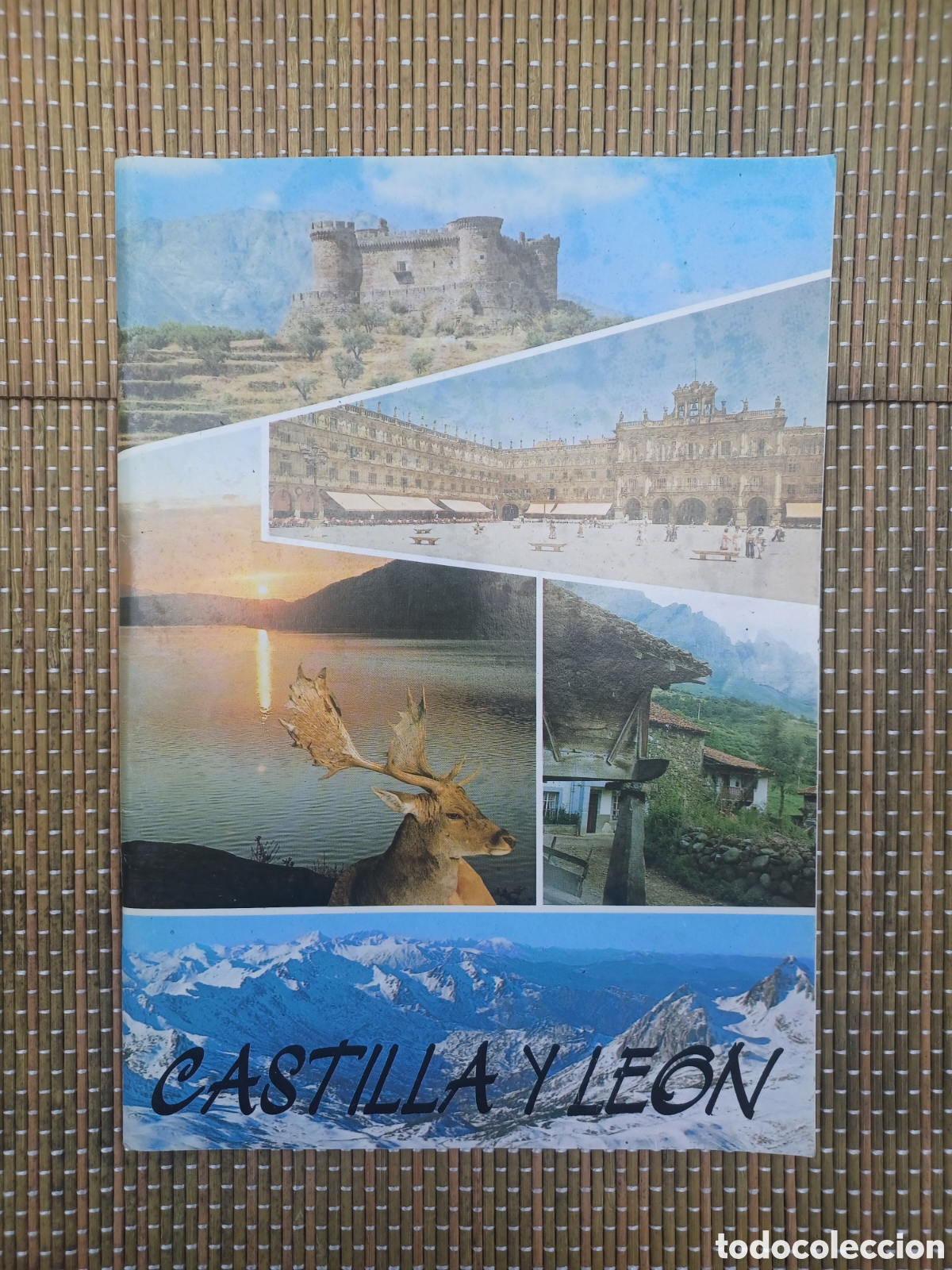 Folletos de turismo: CASTILLA Y LE&Oacute;N - JUNTA DE CASTILLA Y LE&Oacute;N - TURISMO