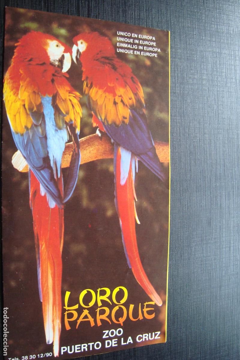 Folletos de turismo: ANTIGUO FOLLETO TURISMO LORO PARQUE ZOO PUERTO DE LA CRUZ TENERIFE 1983.