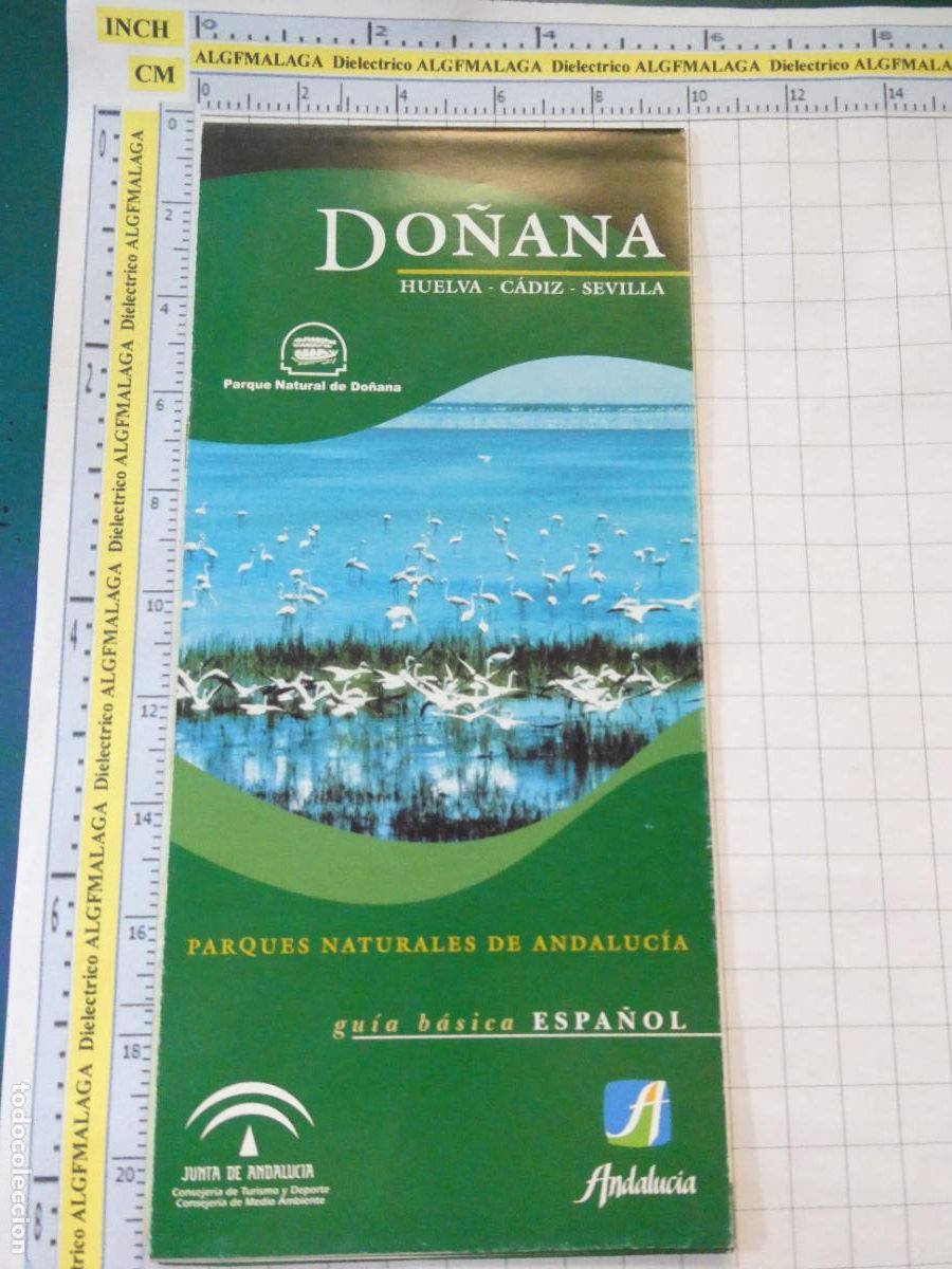 Folletos de turismo: FOLLETO DOCUMENTO TURISMO. PARQUE NATURAL DE DO&Ntilde;ANA HUELVA SEVILLA C&Aacute;DIZ