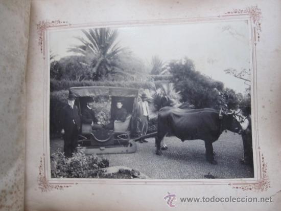 Fotografía antigua: MADEIRA - PORTUGAL - SOBERBIO ALBUM DE 1904 CON 30 FOTOGRAFIAS DE 24X18.3cm montadas sobre cartulina - Foto 3 - 30165748