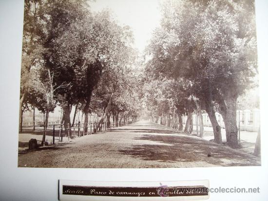 Fotograf&iacute;a antigua: 1888-PASEO DE CARRUAJES A ORILLAS DEL GUADALQUIVIR.SEVILLA.FOT&Oacute;GRAFO CASTILLO.FOTO ORIGINAL.ALB&Uacute;MINA