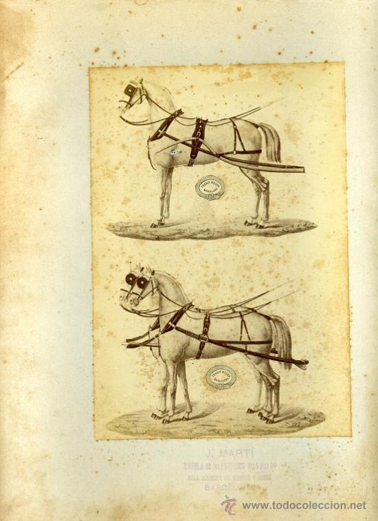 Fotograf&iacute;a antigua: FOTOGRAFIA DEL SIGLO XIX BOCETO DE TIRO DE CABALLOS, J.MARTI , REAL ACADEMIA DE CIENCIAS