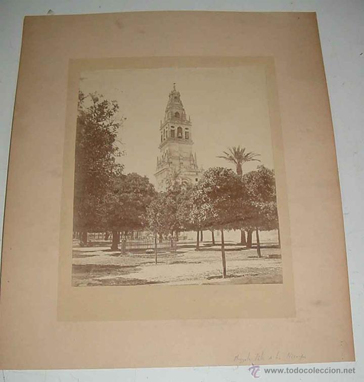Fotografia antica: ANTIGUA FOTOGRAFIA ALBUMINA DE CORDOA, LA MEZQUITA, PATIO DE LOS NARANJOS - FINALES SIGLO XIX PRINC