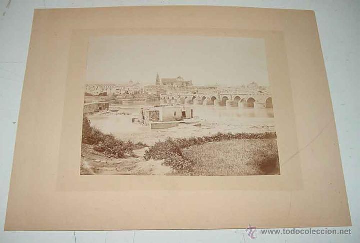 Fotografia antica: ANTIGUA FOTOGRAFIA ALBUMINA DE CORDOBA - FINALES SIGLO XIX PRINCIPIOS DEL XX - MIDE 37 X 28,5 CMS.