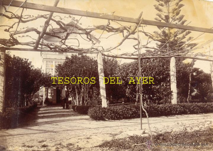 Fotografia antiga: Antigua fotografia albumina original del fotografo Francisco Zagala, jardin de la casa del sr. ruiz,