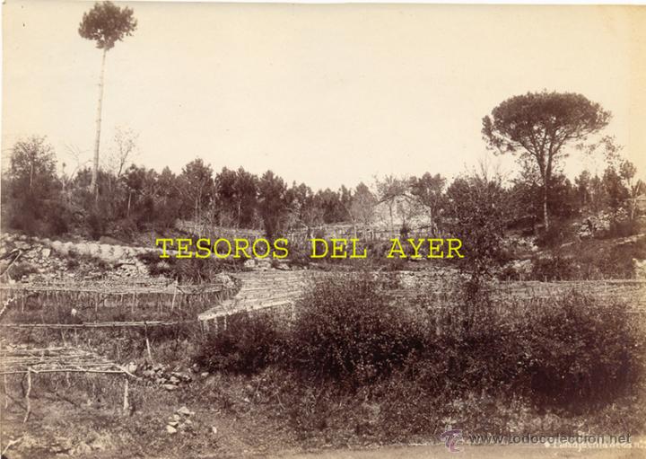 Fotografia antiga: ANTIGUA FOTOGRAFIA ALBUMINA ORIGINAL DEL FOTOGRAFO FRANCISCO ZAGALA, PAISAJE EN LA SECA N. 2, PONTEV