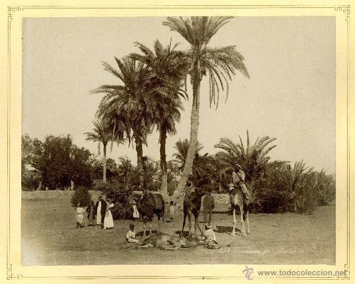 Fotografia antiga: ZANGAKI (1880-1899). EGIPTO. Fuente de Mois&eacute;s y Palmeras cerca de las pir&aacute;mides. Lote de 2 fot