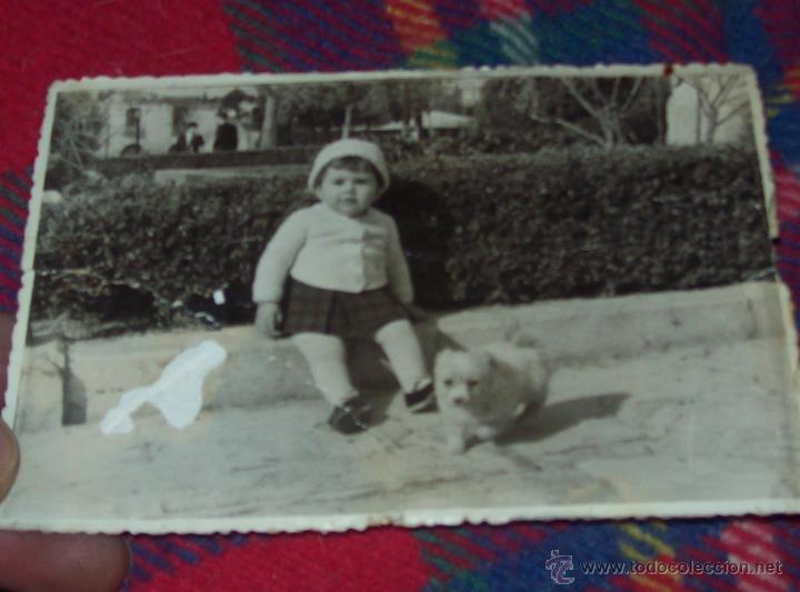 Fotografia antica: FOTO NUM.144: MAGN&Iacute;FICA FOTGORAF&Iacute;A TROQUELADA DE UNA NI&Ntilde;A CON UN PERO A&Ntilde;OS 40-50.FOTOS PASCUAL.
