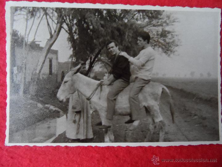 Antique Photography: foto antigua burro