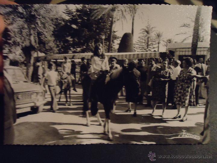Alte Fotografie: fotografia cadiz fotos referencia juman - ni&ntilde;os en pony parque genoves cadiz