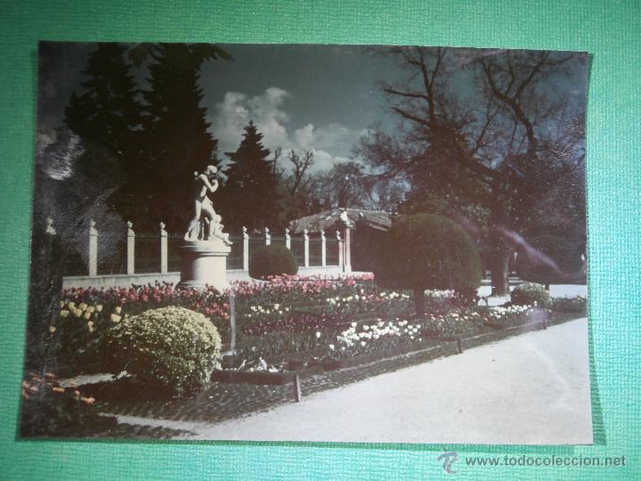 Fotografia antica: Antigua Fotograf&iacute;a - Lugar a determinar - 11,5 cm. x 8,5 cm.
