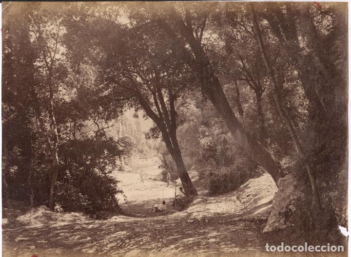 Fotografia antica: ESPA&Ntilde;A, BOSQUE Y PERSONAJES POR IDENTIFICAR, GRAN ALB&Uacute;MINA 28X38 CM.