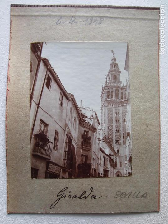 Fotograf&iacute;a antigua: 1898-CALLE DE SEVILLA. GIRALDA. SASTRE CASTILLO. FOTOGRAF&Iacute;A ORIGINAL ALB&Uacute;MINA