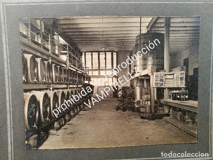 Antique Photography: FOTOGRAFIA CAVA BODEGA VINO VITICULTURA ..ROVELLATS ST.M.SARROCA..VILAFRANCA PENEDES..