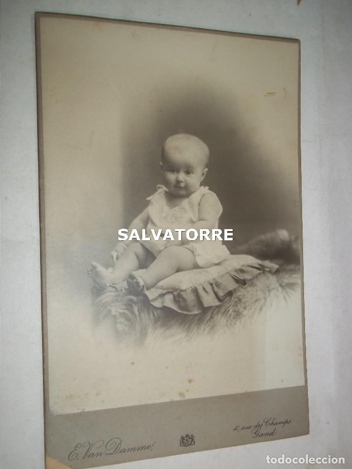 Alte Fotografie: fotografia antigua. V.VAN DAMMEL. GANTE .GANT. BELGICA. BELGIUM.16&acute;5 CM X 10&acute;5 CM