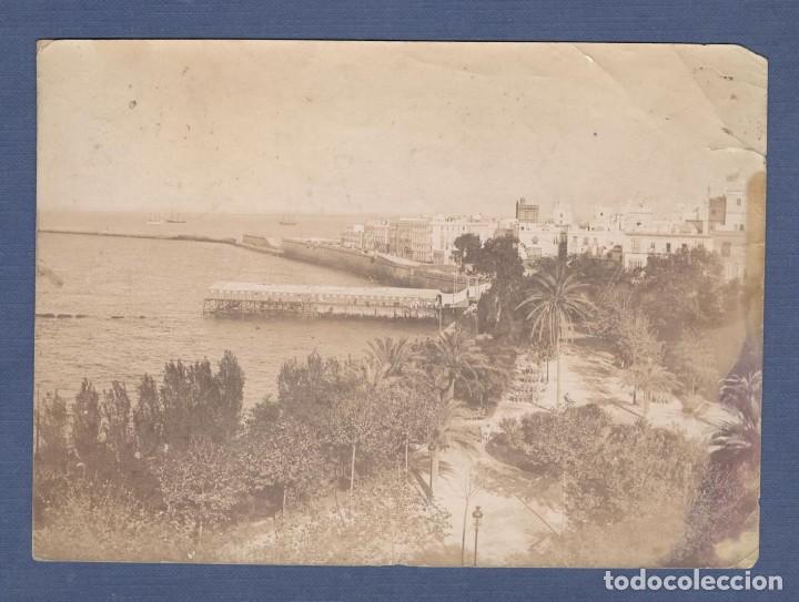 Fotografia antica: ALBUMINA CADIZ, ALAMEDA APODACA CON BALNEARIO DEL CARMEN - CASIMIRO SEILLE OPTICO