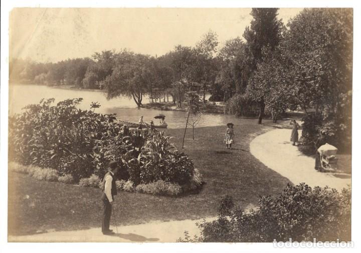 Fotograf&iacute;a antigua: FOTO ALBUMINA VISTA DE UN PARQUE AUSTRALIA 1870'S 23,4 X 16,0 CM